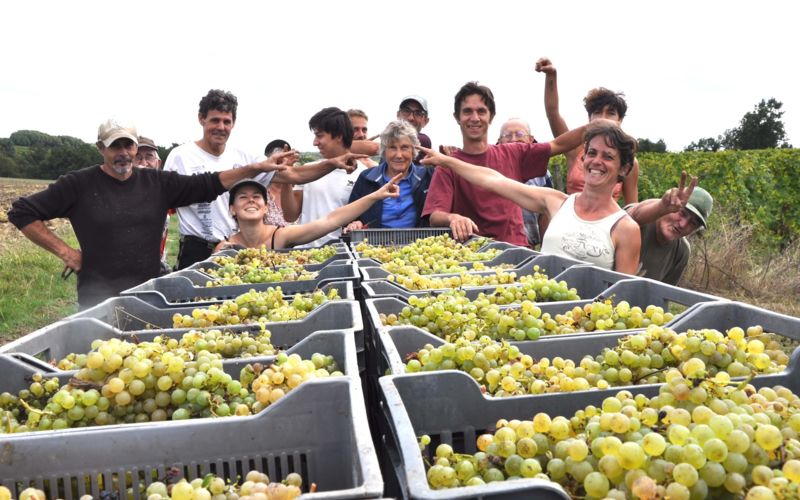 Fin d'une journée de vendanges 2024