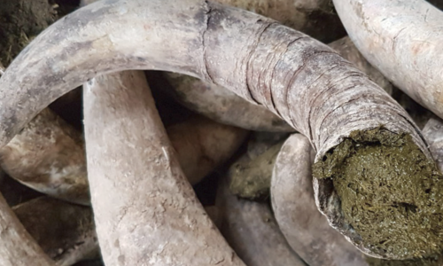 biodynamie en Dordogne